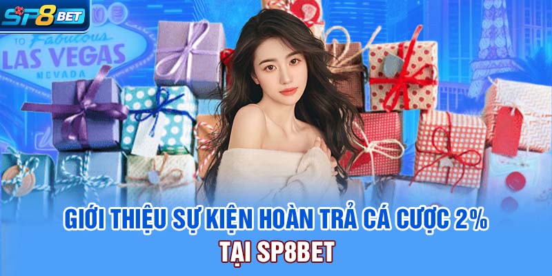 Giới thiệu sự kiện hoàn trả cá cược 2% tại SP8bet