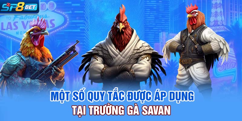Một số quy tắc được áp dụng tại trường gà Savan